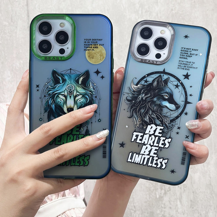 Aurora Series Painted Pattern Phone Case, For iPhone 13, For iPhone 12, For iPhone 12 Pro Max, For iPhone 12 Pro, For iPhone 11