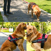 Load image into Gallery viewer, Pet Dog Anti Sprint Oxford Cloth K9 Chest Strap Traction Rope Strap, S for 6-14kg, M for 13-23kg, L for 23-30kg, XL for 28-40kg, XXL for 40-70kg