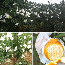 Load image into Gallery viewer, 100pcs Fruit Protective Bag Waterproof Orange Packaging Bag Paper Bag, 15x19cm, 16x20cm, 17x21cm