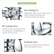 Load image into Gallery viewer, S925 Sterling Silver Shine My Heart Beads DIY Bracelet Necklace Accessories