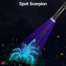 Load image into Gallery viewer, Mini 9 LEDs 395nm Ultraviolet Ray Detection Flashlight, 9 LEDs UV-ray