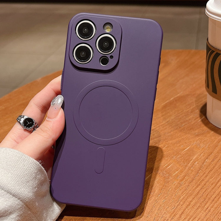Solid Color Liquid Silicone MagSafe Magnetic Phone Case, For iPhone 13 Pro, For iPhone 13, For iPhone 12