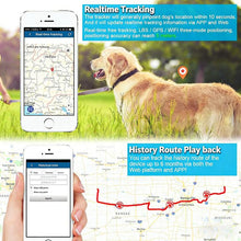 Load image into Gallery viewer, TK919 4G Dog Collar IP67 Waterproof GPS Locator