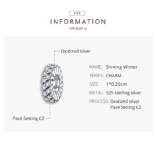 Load image into Gallery viewer, S925 Sterling Silver Shining Winter Zircon Beads DIY Bracelet Necklace Accessories, Shining Winter