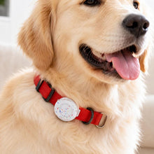 Load image into Gallery viewer, XDcase Pet Design Waterproof Silicone Protective Case, For AirTag