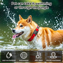 Load image into Gallery viewer, xDfind Silicone Pet Collar Tracker Transparent PC Cover, For AirTag 2nd Gen / AirTag 1st Gen