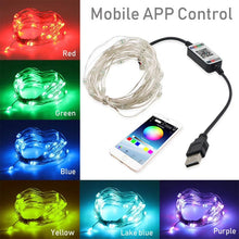 Load image into Gallery viewer, RGB USB  LED Copper Wire Light String Holiday Decoration Light String Bluetooth Mobile APP Control, 2m 20 LED, 5m 50 LED, 10m 100 LED, 12m 120 LED, 15m 150 LED, 20m 200 LED
