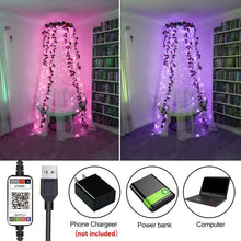Load image into Gallery viewer, RGB USB  LED Copper Wire Light String Holiday Decoration Light String Bluetooth Mobile APP Control, 2m 20 LED, 5m 50 LED, 10m 100 LED, 12m 120 LED, 15m 150 LED, 20m 200 LED