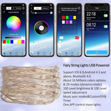 Load image into Gallery viewer, RGB USB  LED Copper Wire Light String Holiday Decoration Light String Bluetooth Mobile APP Control, 2m 20 LED, 5m 50 LED, 10m 100 LED, 12m 120 LED, 15m 150 LED, 20m 200 LED