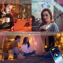 Load image into Gallery viewer, RGB USB  LED Copper Wire Light String Holiday Decoration Light String Bluetooth Mobile APP Control, 2m 20 LED, 5m 50 LED, 10m 100 LED, 12m 120 LED, 15m 150 LED, 20m 200 LED