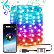 Load image into Gallery viewer, RGB USB  LED Copper Wire Light String Holiday Decoration Light String Bluetooth Mobile APP Control, 2m 20 LED, 5m 50 LED, 10m 100 LED, 12m 120 LED, 15m 150 LED, 20m 200 LED