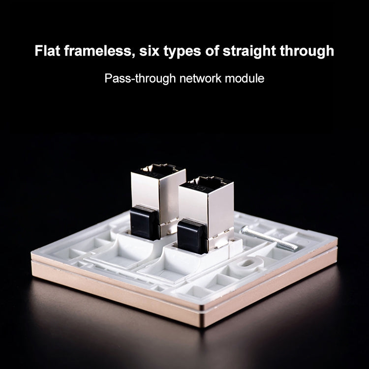 CAT.6 Shielded Pass-through Network Module, Dual Ports Panel + Shielded Pass-through, Dual Ports Panel+Shielded Pass-through