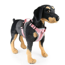Load image into Gallery viewer, FunAdd Traction Rope Reflective Breathable Nylon Pet Vest Dog Harness, Size: M, Size: M