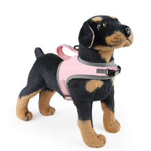 Load image into Gallery viewer, FunAdd Traction Rope Reflective Breathable Nylon Pet Vest Dog Harness, Size: S, Size: S