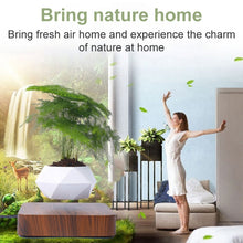 Load image into Gallery viewer, Dark Color Stripe Flower Pot + Imitation Ceramic Resin Base Magnetic Levitation Potted Plant Home Decoration, EU Plug, Soil Color EU Plug, White Stripe EU Plug, Dark Color EU Plug