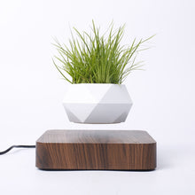 Load image into Gallery viewer, Diamond Plastic Flower Pot + Dark Wood Grain Base Magnetic Levitation Potted Plant Home Decoration, US Plug
