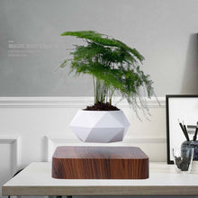 Load image into Gallery viewer, Diamond Plastic Flower Pot + Dark Wood Grain Base Magnetic Levitation Potted Plant Home Decoration, US Plug