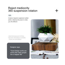 Load image into Gallery viewer, Diamond Plastic Flower Pot + Dark Wood Grain Base Magnetic Levitation Potted Plant Home Decoration, EU Plug