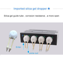 Load image into Gallery viewer, Jebao DP-2 4W Auto Dosing Pump Peristalsis Pump 2-Channel Dosing Aquarium Tank Coral Reef Automatic Feeder Liquid Dispenser, US Plug, DP-2 4W