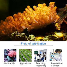 Load image into Gallery viewer, Jebao DP-2 4W Auto Dosing Pump Peristalsis Pump 2-Channel Dosing Aquarium Tank Coral Reef Automatic Feeder Liquid Dispenser, US Plug, DP-2 4W
