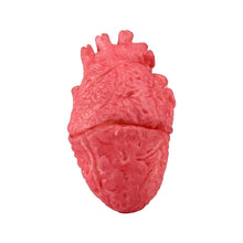 Load image into Gallery viewer, Popular Funny Halloween Props Fake Heart, Fake Heart
