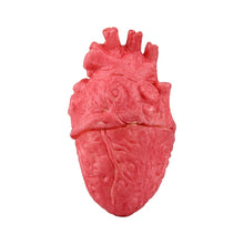 Load image into Gallery viewer, Popular Funny Halloween Props Fake Heart, Fake Heart