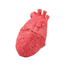 Load image into Gallery viewer, Popular Funny Halloween Props Fake Heart, Fake Heart