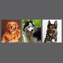 Load image into Gallery viewer, Cowhide Traction Belt Dog Collar Telescopic Dog Rope, Suitable For Medium and Large Dogs, M, Rope Length: 128cm Collar Size: 32-44cm