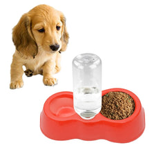 Load image into Gallery viewer, Dog Cat Food Dish + Drinking Water Double Bowls with Automatic Water Dispenser