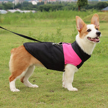 Load image into Gallery viewer, Pet Dog Cotton Vest Ski Suit, Size: 4XL, Chest: 63cm, Back Length: 55cm, Size: 4XL