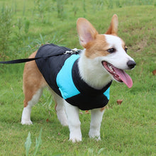Load image into Gallery viewer, Pet Dog Cotton Vest Ski Suit, Size: S, Chest: 38cm, Back Length: 27cm, Size: S