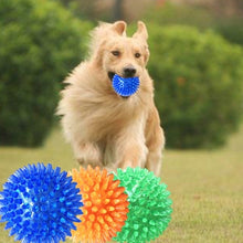 Load image into Gallery viewer, Pet Sounding Toy Hedgehog Ball Golden Retriever Molar Bite Resistant Tooth Toy for Large Pets, Small, Diameter: 6.5cm, Random Color Delivery, Small, Diameter: 6.5cm