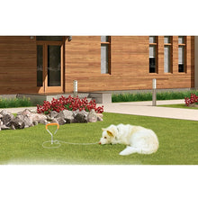 Load image into Gallery viewer, Dog Pile Fixation Spiral Nail with Handle For Medium Small Dog Long Training Outdoor, Size: 45cm*9mm, Size: 45cm*9mm
