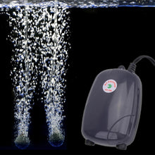 Load image into Gallery viewer, RS-390 220V 5W Double Outlets Adjustable Flow Silent Aquarium Air Pump Fish Tank Oxygen Air Pump, 5W