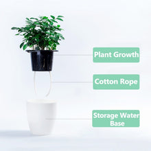 Load image into Gallery viewer, Lazy Flower Pots Automatic Water-absorbing Hydroponic Potted Plants Circular Resin Plastic Flower Pots Double-layer Design Self Watering Planter, Diameter: 11cm, Height: 10.3cm, Diameter: 11cm, Height: 10.3cm