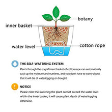 Load image into Gallery viewer, Lazy Flower Pots Automatic Water-absorbing Hydroponic Potted Plants Circular Resin Plastic Flower Pots Double-layer Design Self Watering Planter, Diameter: 13cm, Height: 13.7cm, Diameter: 13cm, Height: 13.7cm