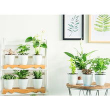 Load image into Gallery viewer, Lazy Flower Pots Automatic Water-absorbing Hydroponic Potted Plants Circular Resin Plastic Flower Pots Double-layer Design Self Watering Planter, Diameter: 13cm, Height: 13.7cm, Diameter: 13cm, Height: 13.7cm