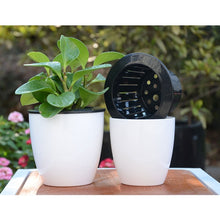 Load image into Gallery viewer, Lazy Flower Pots Automatic Water-absorbing Hydroponic Potted Plants Circular Resin Plastic Flower Pots Double-layer Design Self Watering Planter, Diameter: 13cm, Height: 13.7cm, Diameter: 13cm, Height: 13.7cm