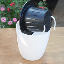 Load image into Gallery viewer, Lazy Flower Pots Automatic Water-absorbing Hydroponic Potted Plants Circular Resin Plastic Flower Pots Double-layer Design Self Watering Planter, Diameter: 15cm, Height: 15.5cm, Diameter: 15cm, Height: 15.5cm