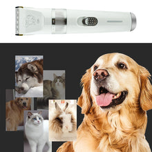 Load image into Gallery viewer, Q6 USB Charging Electric Pet Shaver with Four Combs, Q6 Shaver