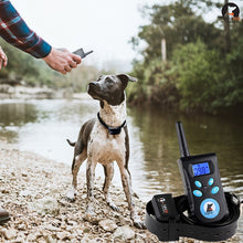 Load image into Gallery viewer, Automatic Anti Barking Collar Pet Training Control System + Electric Shock PU Leather Collar for Dogs, PD520