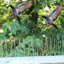 Load image into Gallery viewer, 5 PCS / Set Bird Repeller 50cm Stainless Steel Nails Bird Spikes SK411, 5 PCS