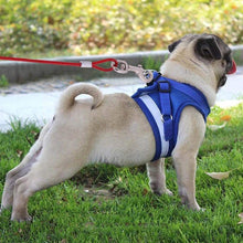 Load image into Gallery viewer, Double-end Steel Wire Rope Pet Dogs 2 in 1 Traction Rope Pet Walking Leads With Handle, Length: 5m,Random Color Delivery, Length: 5m