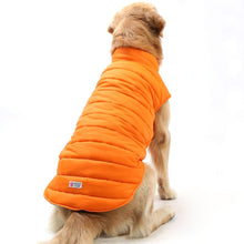 Load image into Gallery viewer, New Autumn and Winter Style Lovely Bone Pattern Pet Dog Reversible Cotton Garment Size:S, Bust: 38-43cm, Neck: 26-31cm, Size:S
