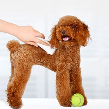 Load image into Gallery viewer, Original Xiaomi Youpin Pawbby Dog Professional Razor Pet Grooming Clippers Electric Rechargeable Safety Haircut Machine, Pawbby Dog Professional Razor