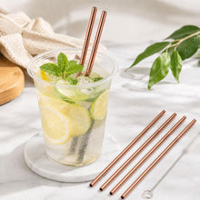 Load image into Gallery viewer, 5pcs Reusable Stainless Steel Straight Drinking Straw + Cleaner Brush Set Kit,  215*8mm, 215*8mm (Straight)