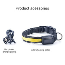 Load image into Gallery viewer, Medium and Large Dog Pet Solar + USB Charging LED Light Collar, Neck Circumference Size: S, 35-40cm, Size: S