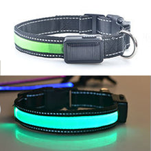 Load image into Gallery viewer, Medium and Large Dog Pet Solar + USB Charging LED Light Collar, Neck Circumference Size: L, 50-60cm, Size: L