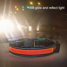 Load image into Gallery viewer, Medium and Large Dog Pet Solar + USB Charging LED Light Collar, Neck Circumference Size: L, 50-60cm, Size: L