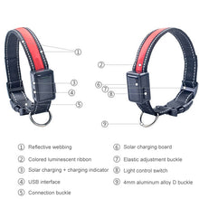 Load image into Gallery viewer, Medium and Large Dog Pet Solar + USB Charging LED Light Collar, Neck Circumference Size: L, 50-60cm, Size: L